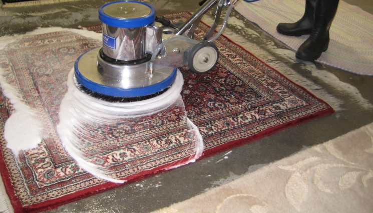 professional-rug-cleaning