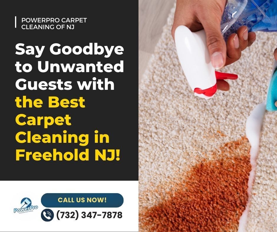 Say Goodbye to Unwanted Guests with the Best Carpet Cleaning in Freehold NJ!