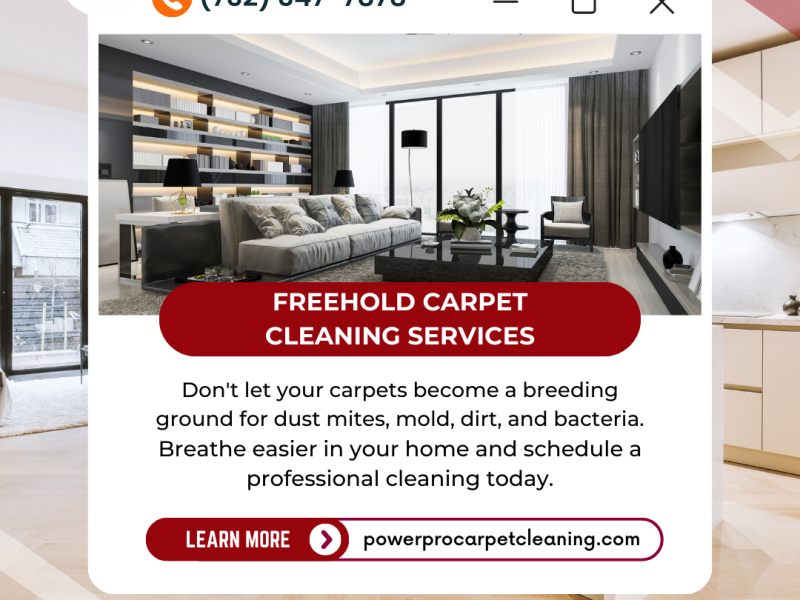 Freehold Carpet Cleaning Services - The Hidden Dangers Lurking in Your Dirty Carpets