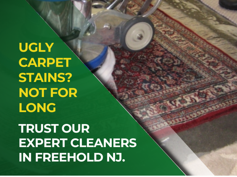 Get Rid of Stubborn Stains: The Best Carpet Cleaners in Freehold NJ