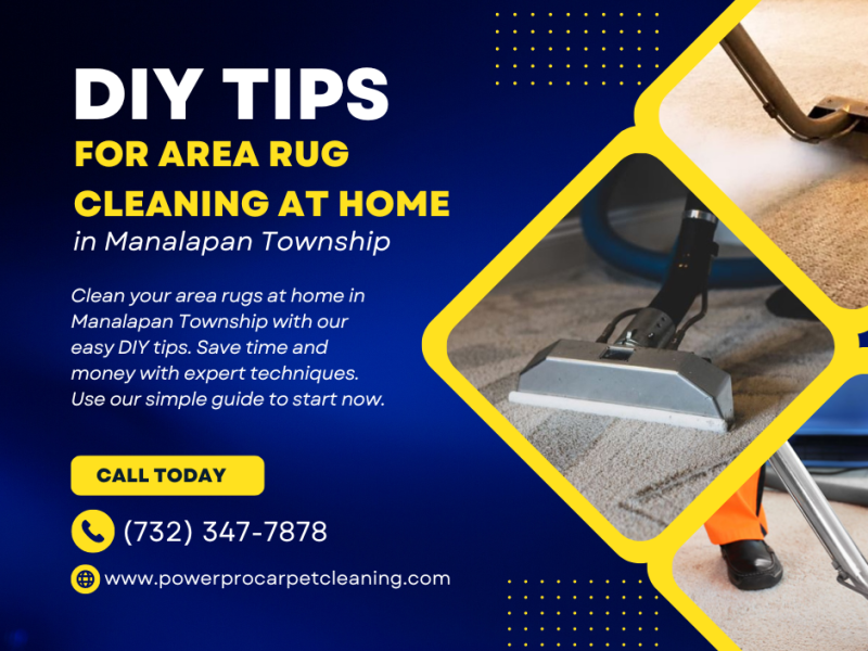 DIY Tips for Area Rug Cleaning at Home in Manalapan Township